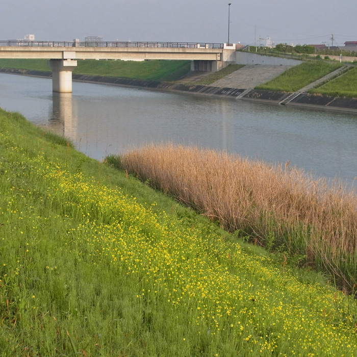 c0049299_121449.jpg