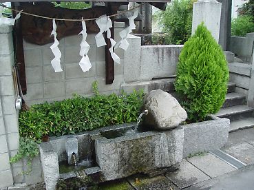 a0167801_5124639.jpg