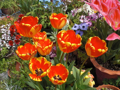 c0238601_947934.jpg