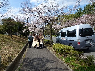 お花見に行ってきました＜アクティブライフ箕面・デイルーム＞_c0107602_10242249.jpg