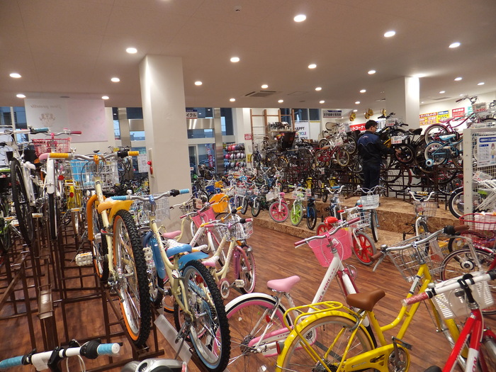 嗚呼チャリ道! 泥よけの ありがたさ!!_c0226202_2151644.jpg