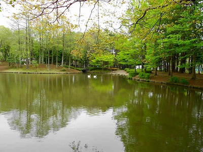 b0147203_22482244.jpg