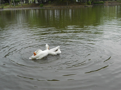 b0147203_2257362.jpg