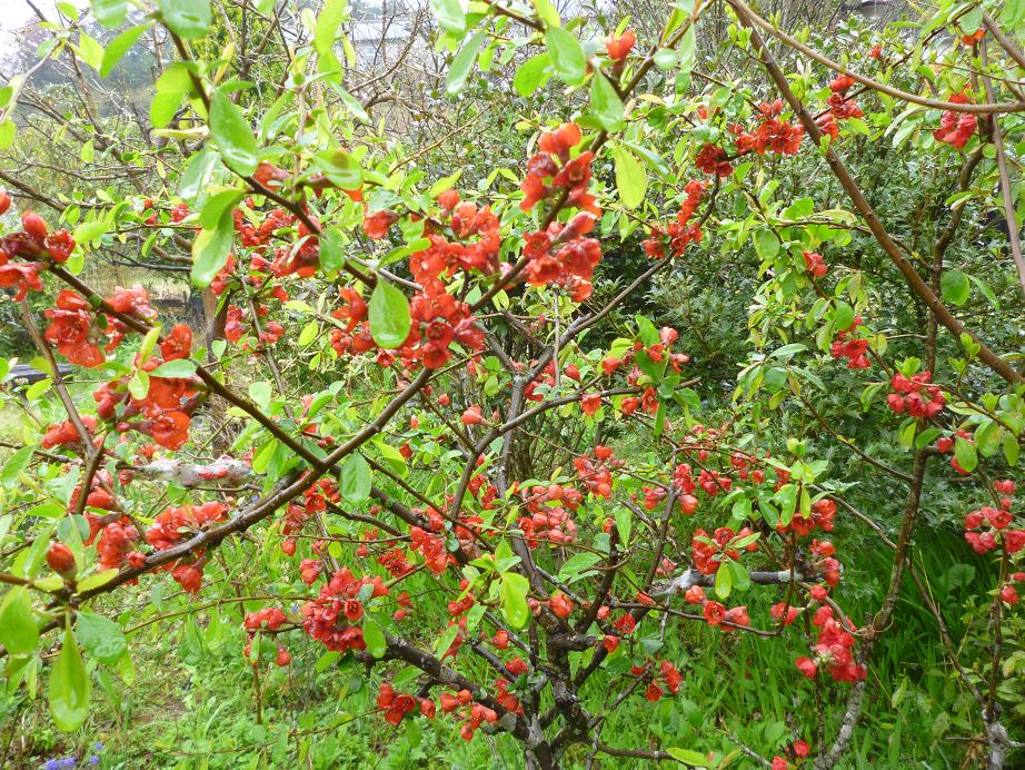 c0156104_2247231.jpg