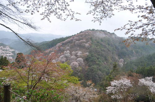 うましうるわし旅行記　間に合った編_a0101905_2327388.jpg