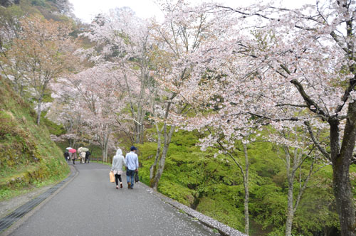 うましうるわし旅行記　間に合った編_a0101905_23275197.jpg