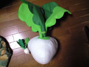 大きなかぶ 龍ケ崎から 大きなかぶ 龍ケ崎から