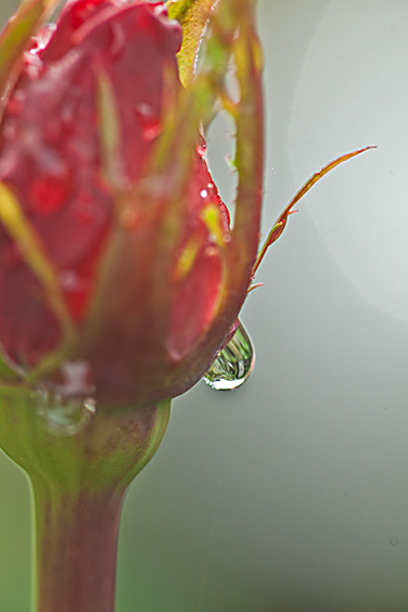 d0036708_1757255.jpg
