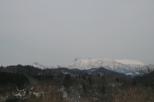 d0119909_625127.jpg