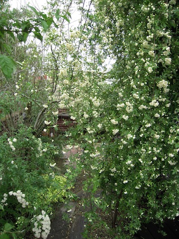 e0271409_22151783.jpg