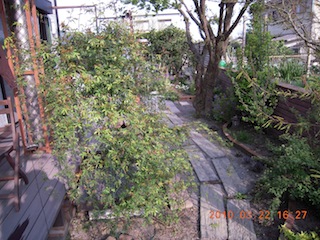 e0271409_223636.jpg