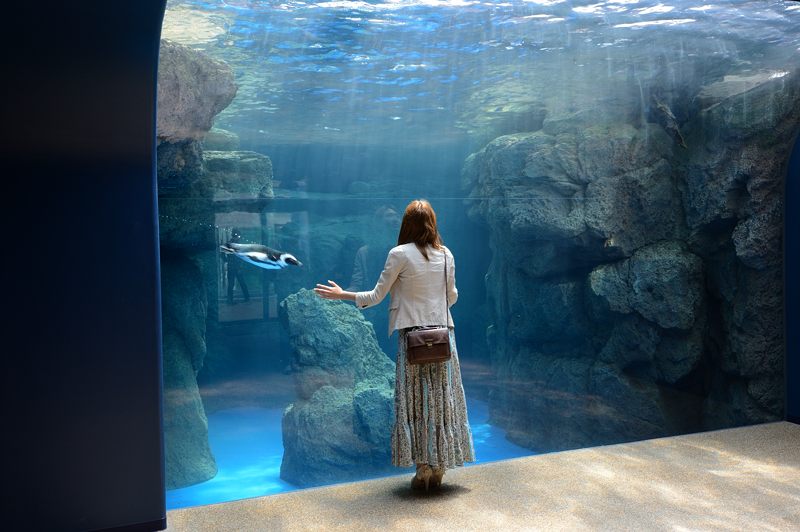 潜入!京都水族館 其の一_f0032011_205896.jpg