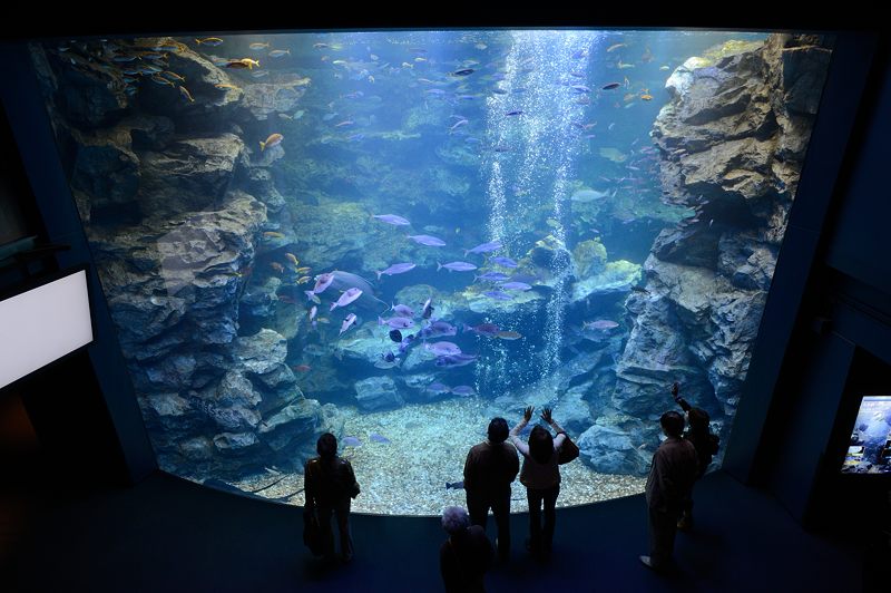 潜入!京都水族館 其の一_f0032011_2071772.jpg