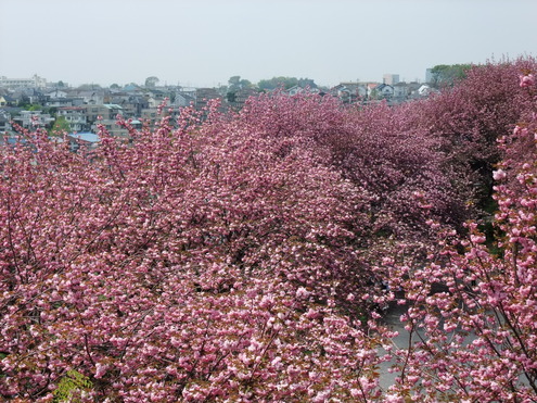 e0146912_1018161.jpg