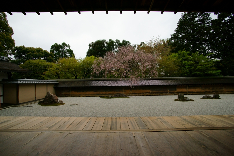 龍安寺_e0177413_20521022.jpg