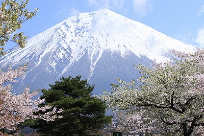 a0087818_20232440.jpg