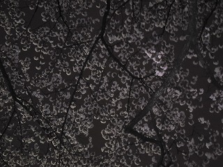 d0084118_23521252.jpg