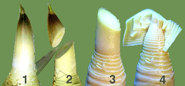 d0043225_21445446.jpg