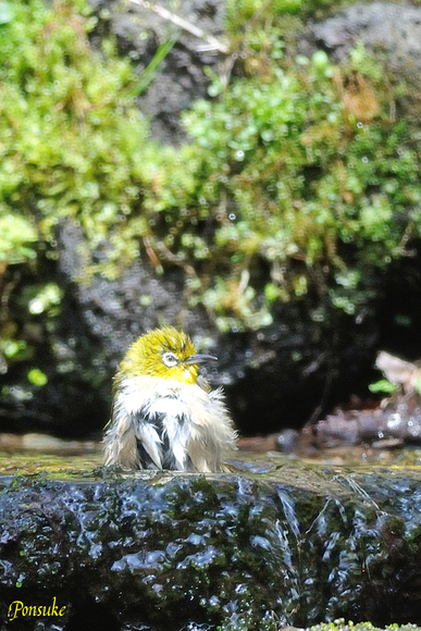 とっても暑い日だったから_b0208227_2019447.jpg