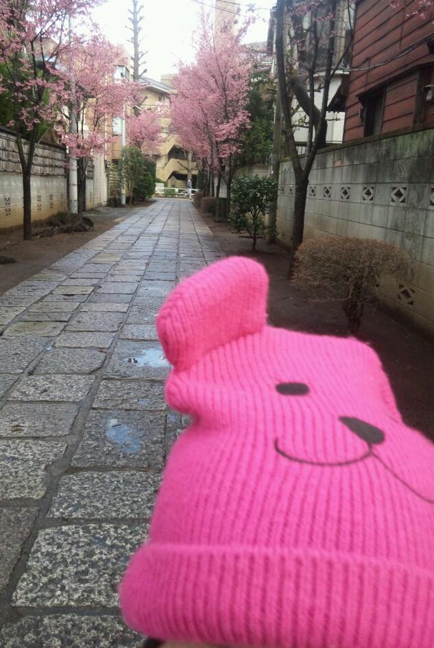 friendship #_a0168628_13162613.jpg