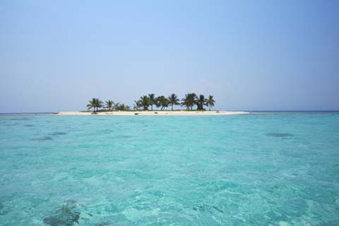 カリブ海へ_a0026530_19562350.jpg