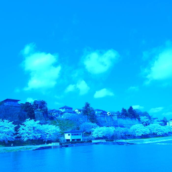 d0204134_88341.jpg