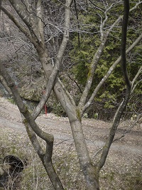 b0110035_2218527.jpg