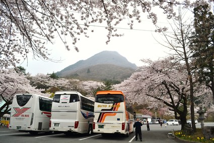 桜満開の水澤観音＆BUBUcafe　2012_e0228938_20263020.jpg