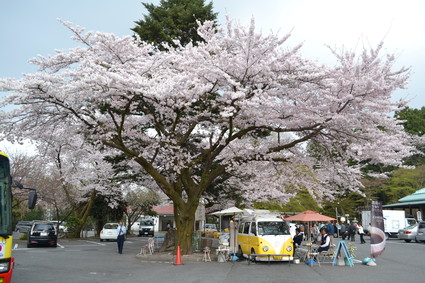 桜満開の水澤観音＆BUBUcafe　2012_e0228938_20281468.jpg