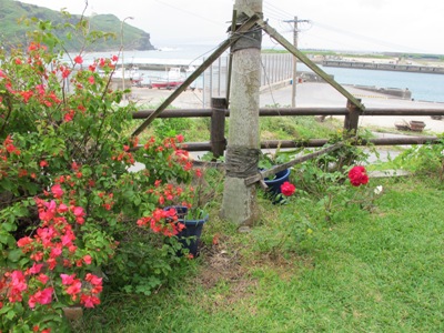 4月 26日 しばし待ったら…。_b0158746_17221825.jpg