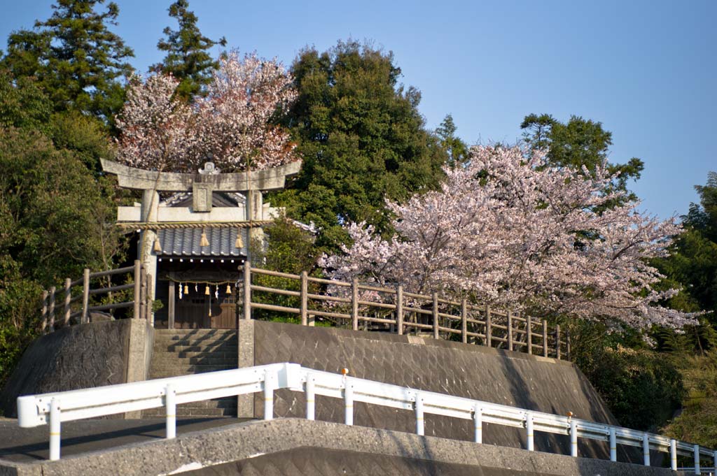 ◆愛宕神社　福津市舎利蔵_b0023047_6124723.jpg