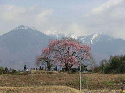 f0019247_0407.jpg