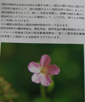 e0126350_2223672.jpg