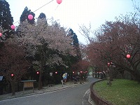 c0208355_97555.jpg