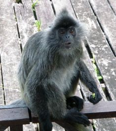 ガラマ川のリバークルーズに出会える動物_a0132757_1041247.jpg