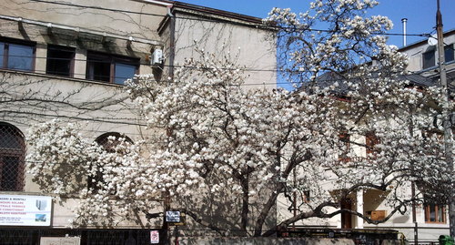 a0111458_35985.jpg