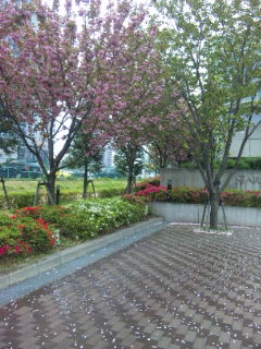 f0201360_12464080.jpg