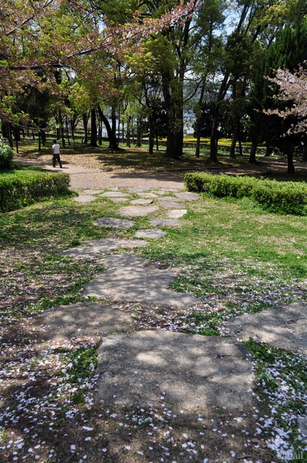 e0125762_20751.jpg