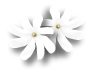 a0262183_19285093.gif