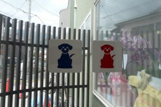2012年4月26日 ウルトラCだね。。_b0098584_8312017.jpg