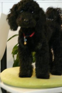 2012年4月26日 ウルトラCだね。。_b0098584_8343648.jpg