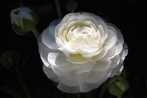 a0240085_1427026.jpg