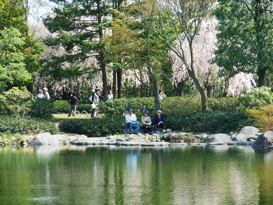 昭和記念公園フラワーフェスティバル_f0030085_16525758.jpg