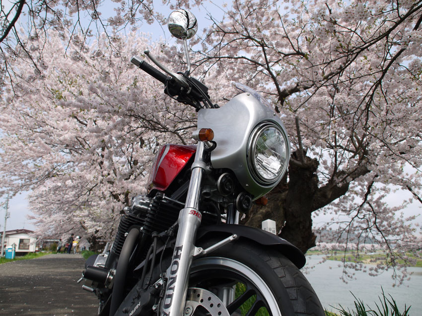 ２０１２ 船岡城址公園＆白石川堤一目千本桜 花見ツーリング（後編）_d0244687_13312237.jpg