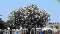 e0161692_10255514.png