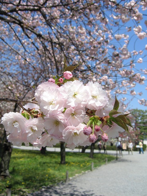 c0087094_1723399.jpg