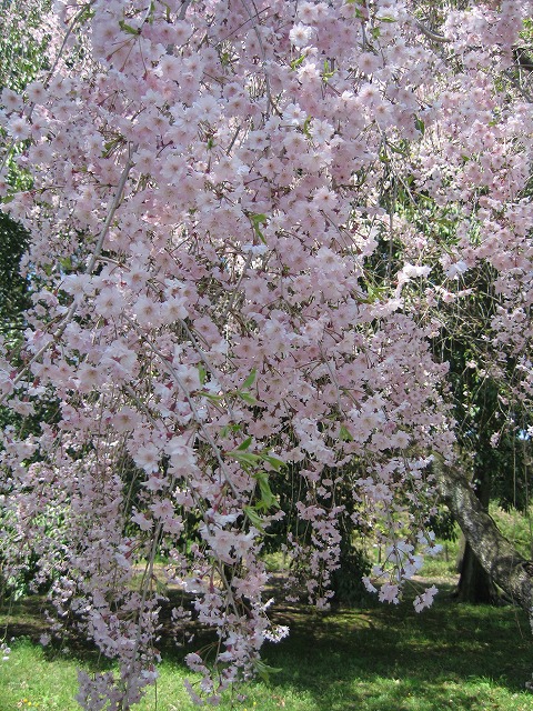 c0087094_17274585.jpg