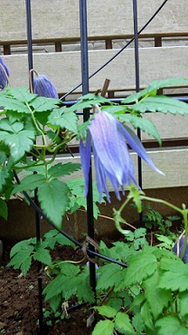 b0213795_23223461.jpg