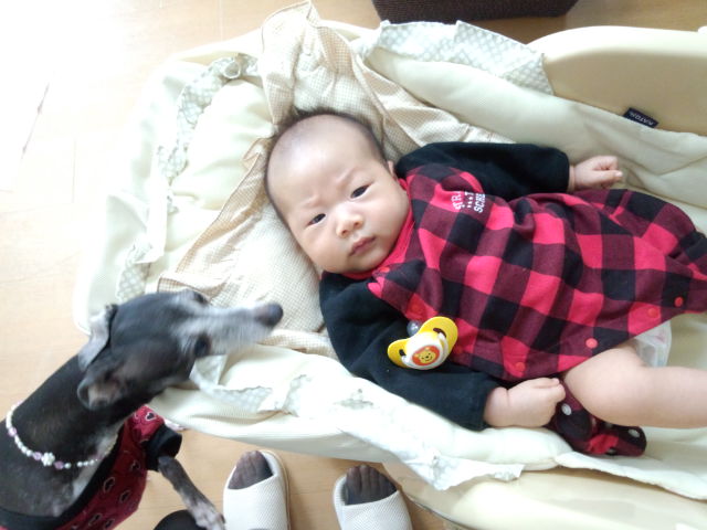 a0050302_2553239.jpg