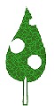 a0123003_6401626.jpg